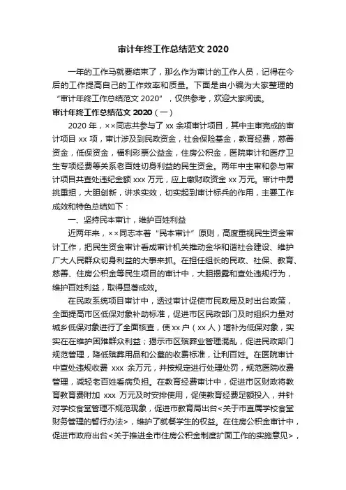 审计年终工作总结范文2020