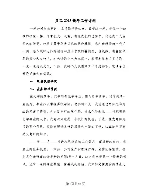 员工2023新年工作计划(6篇)
