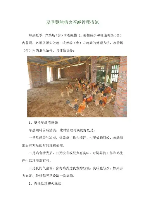 夏季驱除鸡舍苍蝇管理措施