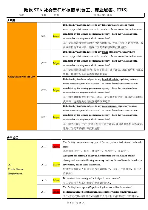 微软SEA社会责任审核清单(整套)