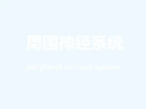 周围神经系统(96页)