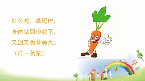 13胡萝卜先生的长胡子 课件(共13张PPT)