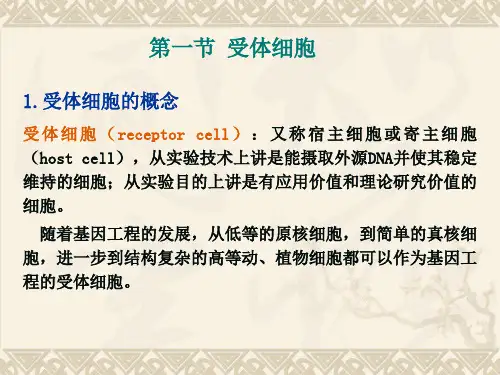 目的基因导入受体细胞及重组子的筛选