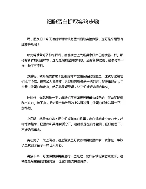 细胞蛋白提取实验步骤