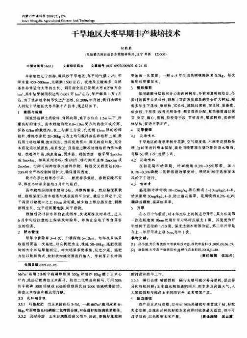 干旱地区大枣早期丰产栽培技术