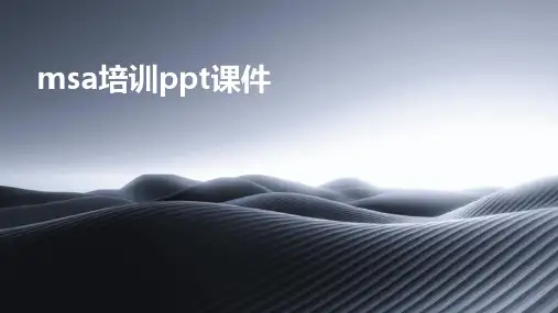 msa培训ppt课件
