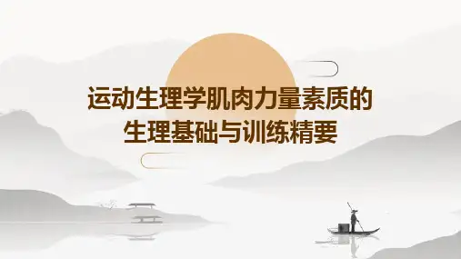 运动生理学肌肉力量素质的生理基础与训练精要