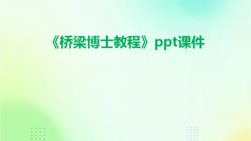《桥梁博士教程》课件