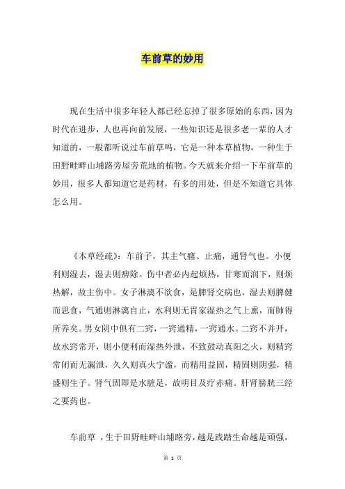 车前草的妙用