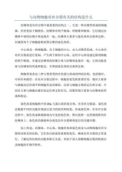 与动物细胞有丝分裂有关的结构是什么