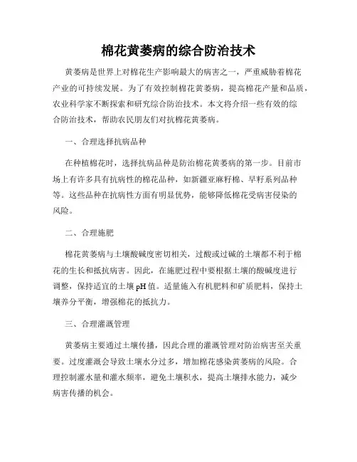 棉花黄萎病的综合防治技术