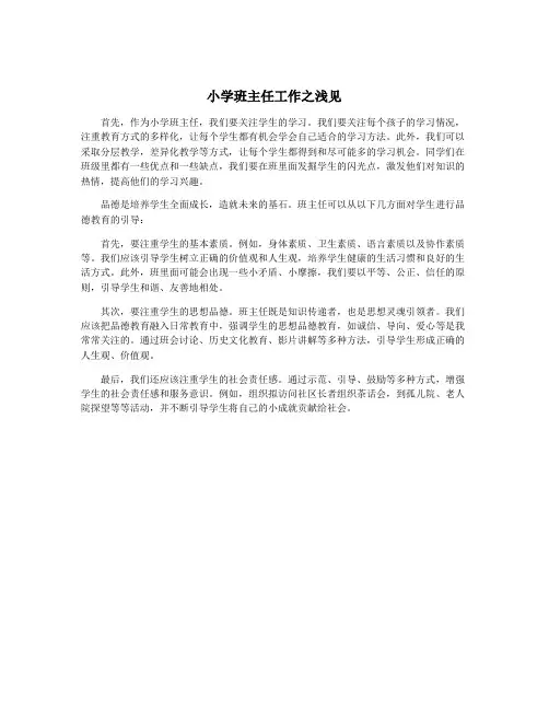 小学班主任工作之浅见
