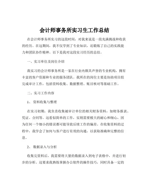 会计师事务所实习生工作总结