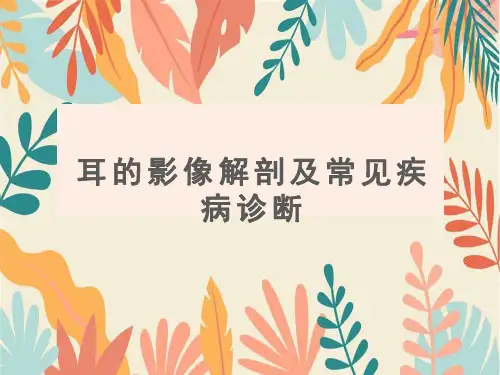 耳的影像解剖及常见疾病诊断