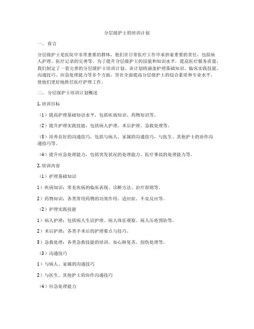 分层级护士的培训计划