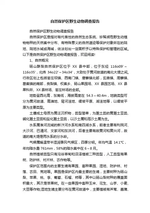 自然保护区野生动物调查报告