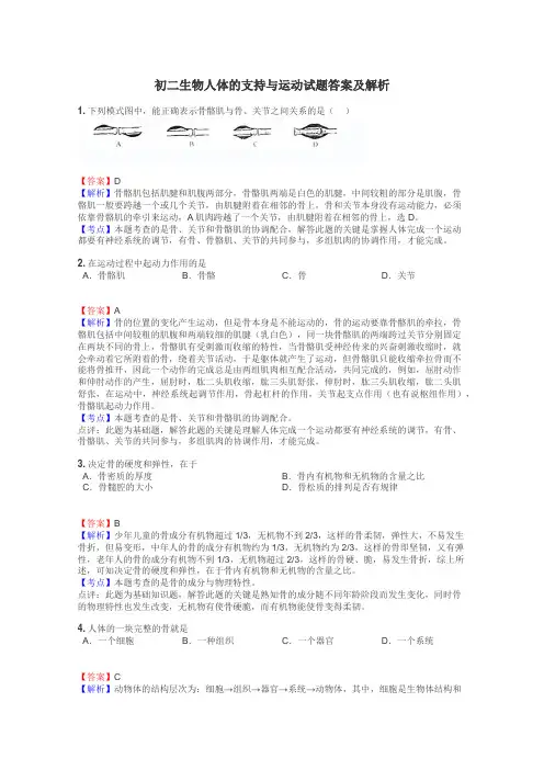 初二生物人体的支持与运动试题答案及解析
