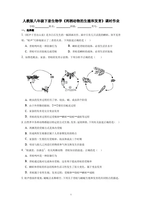 人教版八年级下册生物学《两栖动物的生殖和发育》课时作业(含答案)