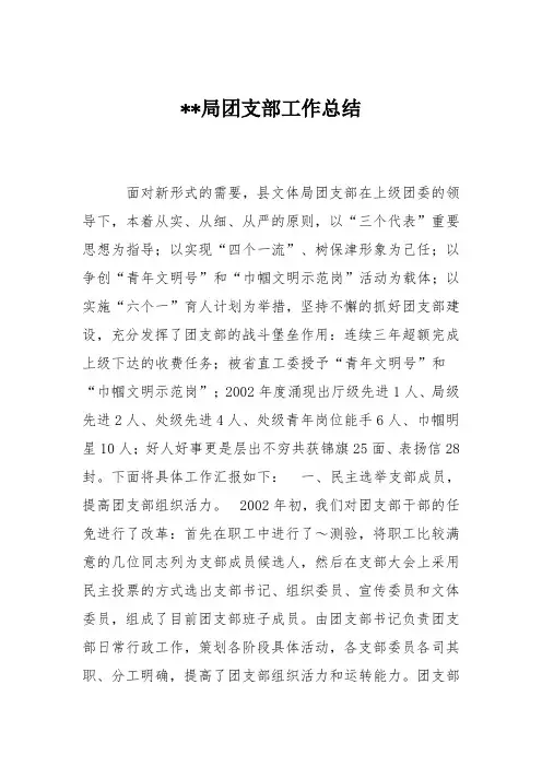 --局团支部工作总结