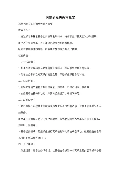 美丽的夏天教育教案