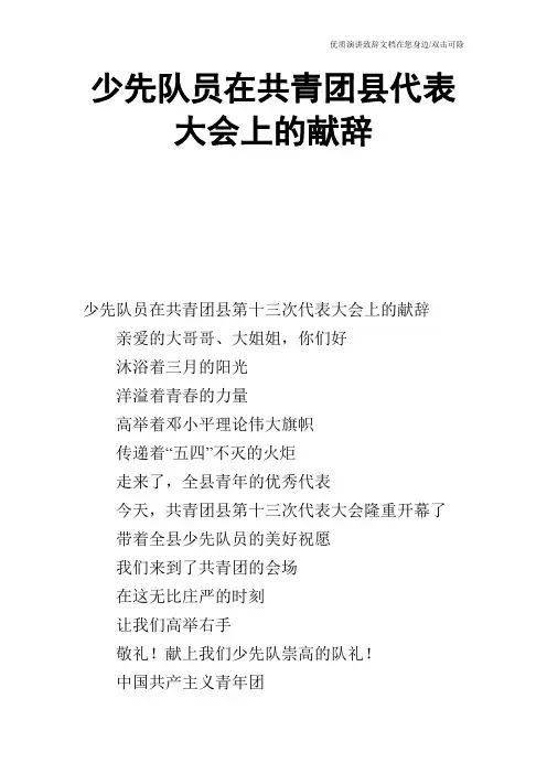 少先队员在共青团县代表大会上的献辞
