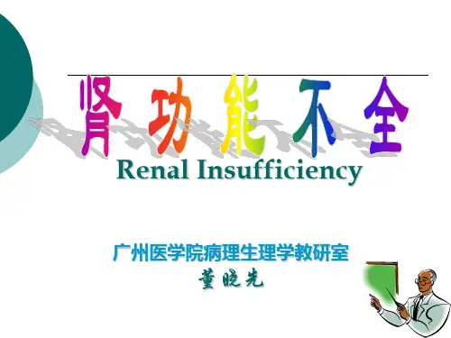 《病理生理学》课件：肾脏病理生理