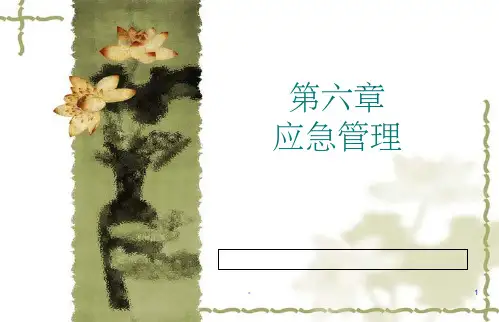 应急管理-ppt