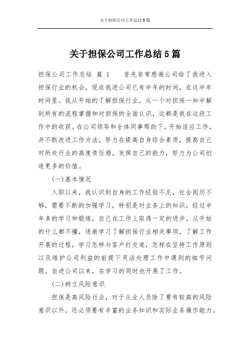 关于担保公司工作总结5篇