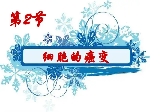 北师大版高一生物必修1课件：第7章-第2节-细胞的癌变