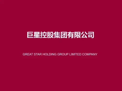 巨星科技介绍讲解