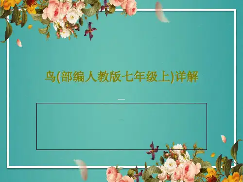 鸟(部编人教版七年级上)详解26页PPT