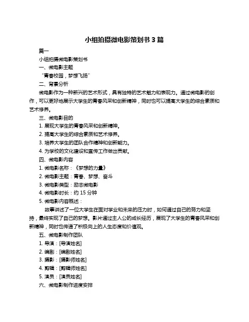 小组拍摄微电影策划书3篇
