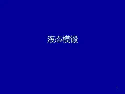 液态模锻PPT课件