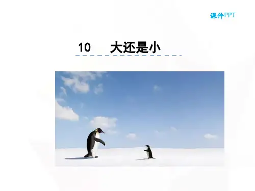 部编版教材语文《大还是小》精品ppt1