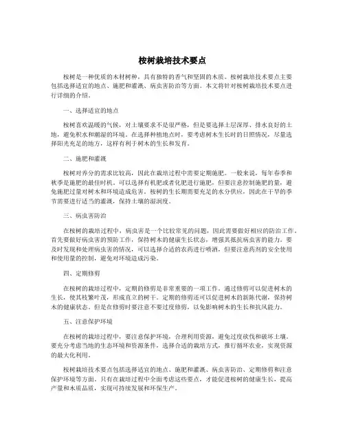 桉树栽培技术要点