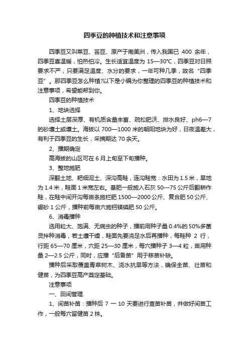 四季豆的种植技术和注意事项