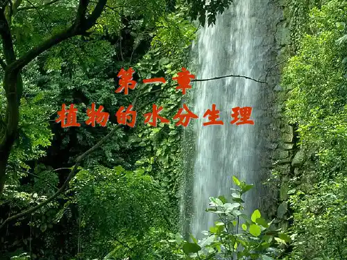 植物生理学：植物的水分生理