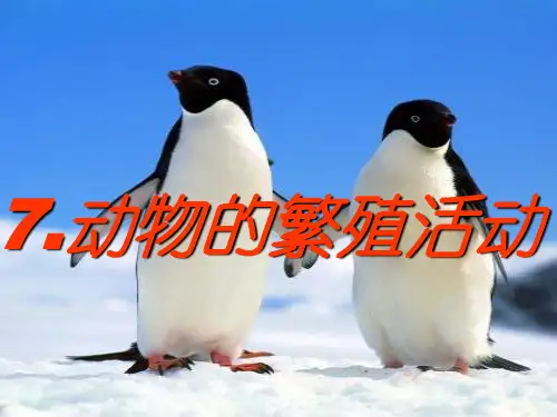2.7动物的繁殖活动