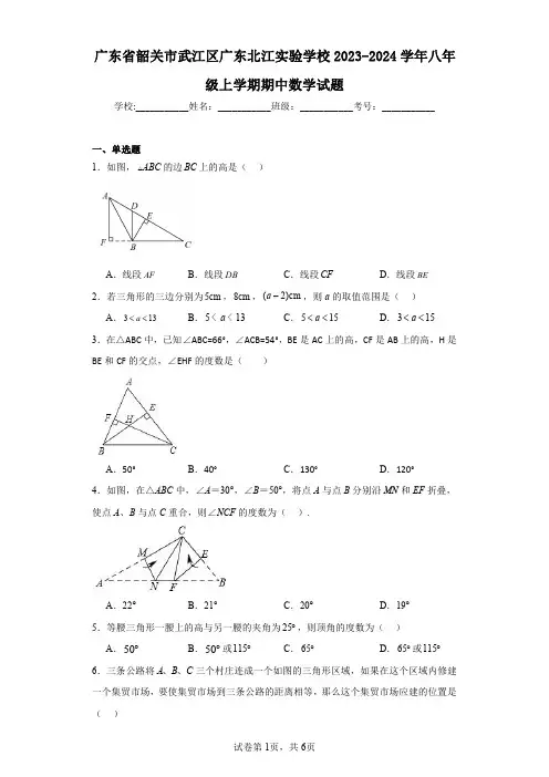 广东省韶关市武江区广东北江实验学校2023-2024学年八年级上学期期中数学试题