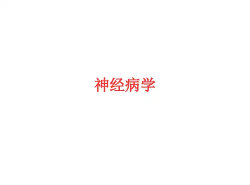 神经病学总论-常见症状课件