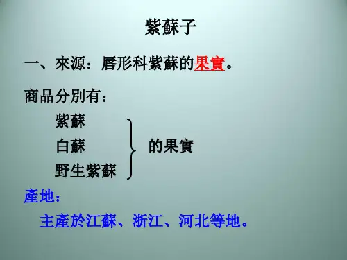 (中药鉴定学)果实及种子类中药