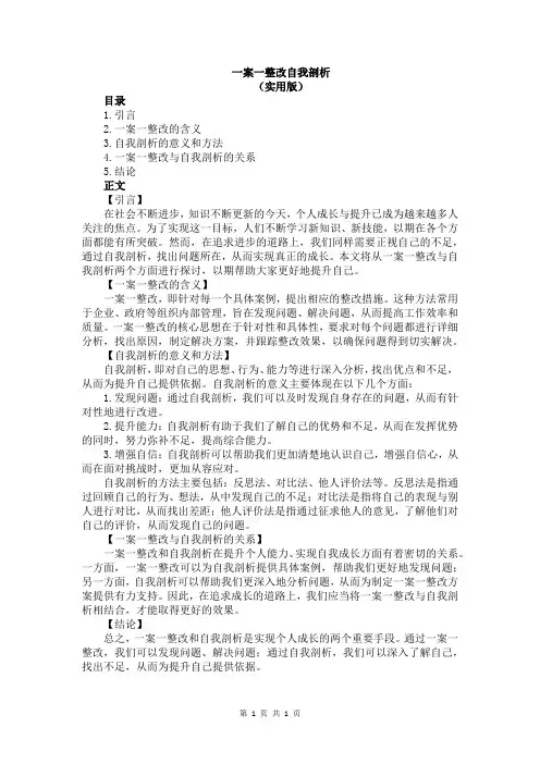 一案一整改自我剖析