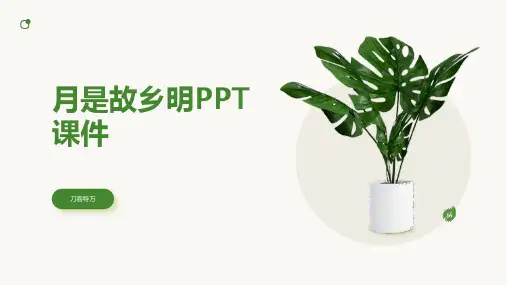 月是故乡明PPT课件