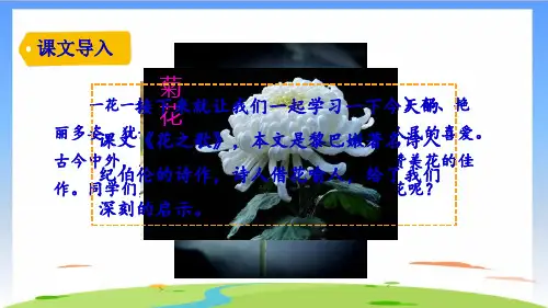 《花之歌》完美版(共32张PPT)
