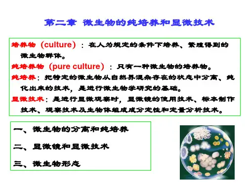 微生物的纯培养和显微技术