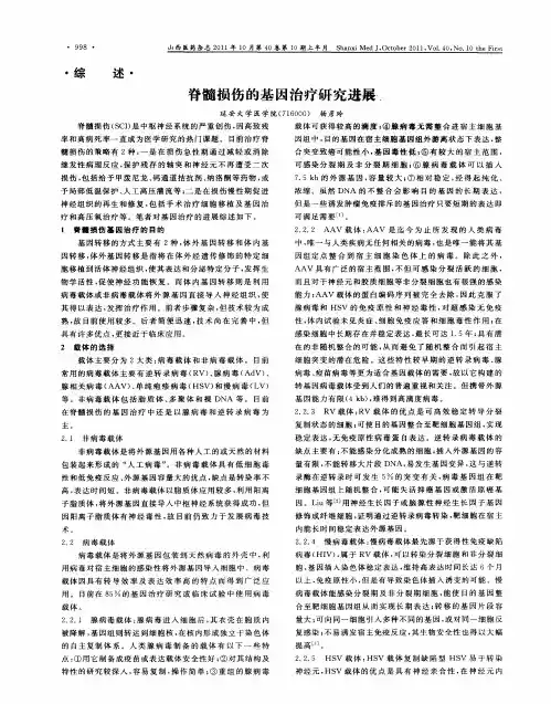 脊髓损伤的基因治疗研究进展