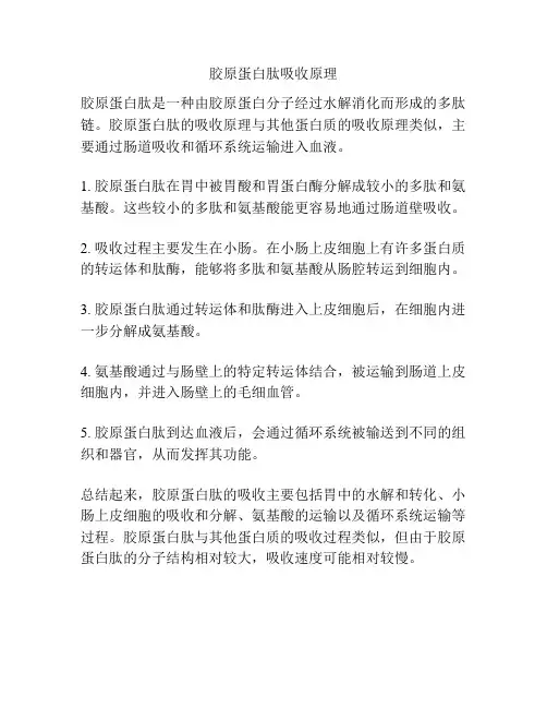 胶原蛋白肽吸收原理
