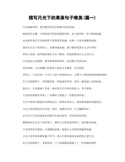 描写月光下的草原句子唯美(精选合集2篇)