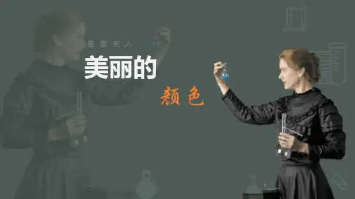 部编版八年级上册语文《美丽的颜色》说课教学教学电子课件