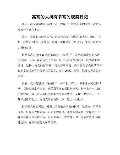 小学三年级作文高高的大树有多高的观察日记